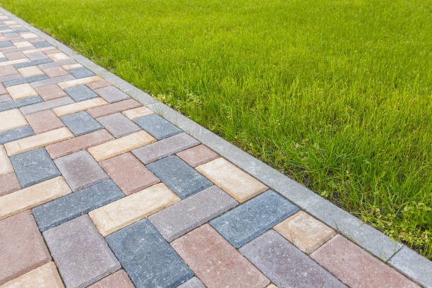 Best Driveway Paving Contractor  in Orland, CA